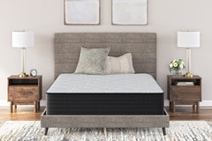 Prime Furniture - Ashley Furniture - Palisades Plush Mattresses - California King / Gray/Blue - M41651