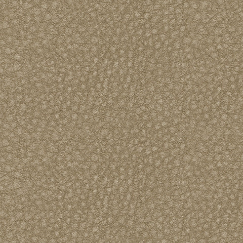 Next-Gen Durapella Living Room