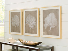Prime Furniture - Ashley Furniture - Hendridge Wall Decor - Wall Art Set (3/CN) / Taupe/White - A8000486