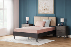 Prime Furniture - Ashley Furniture - iKidz Coral Mattresses - Full and Pillow 2/CN / Coral - M43121